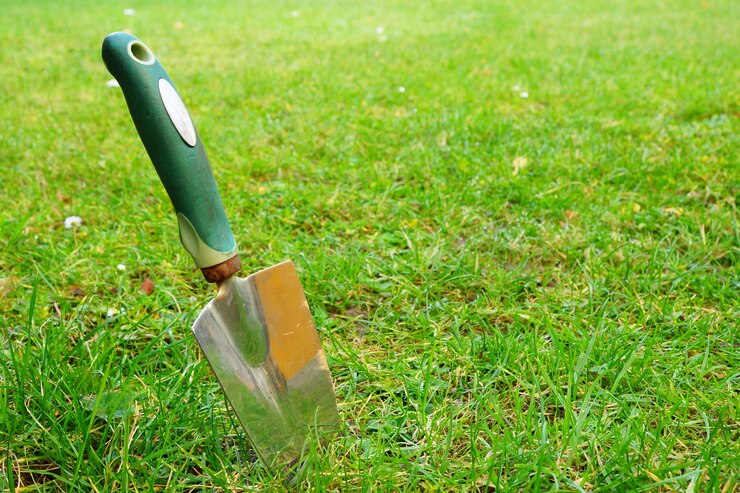 Lawn Fertilizing-2